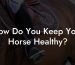 How Do You Keep Your Horse Healthy?