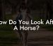 How Do You Look After A Horse?