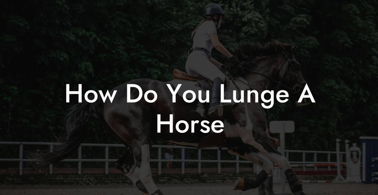 How Do You Lunge A Horse