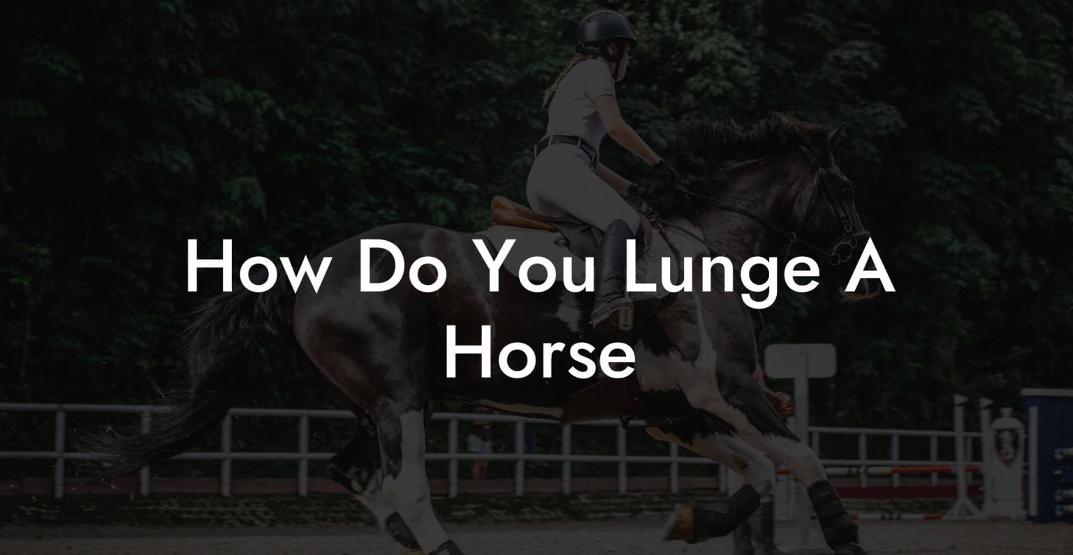 How Do You Lunge A Horse How To Own a Horse