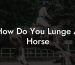 How Do You Lunge A Horse