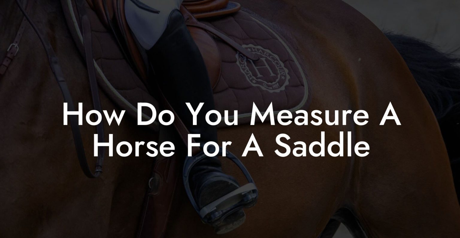 How Do You Measure A Horse For A Saddle How To Own a Horse