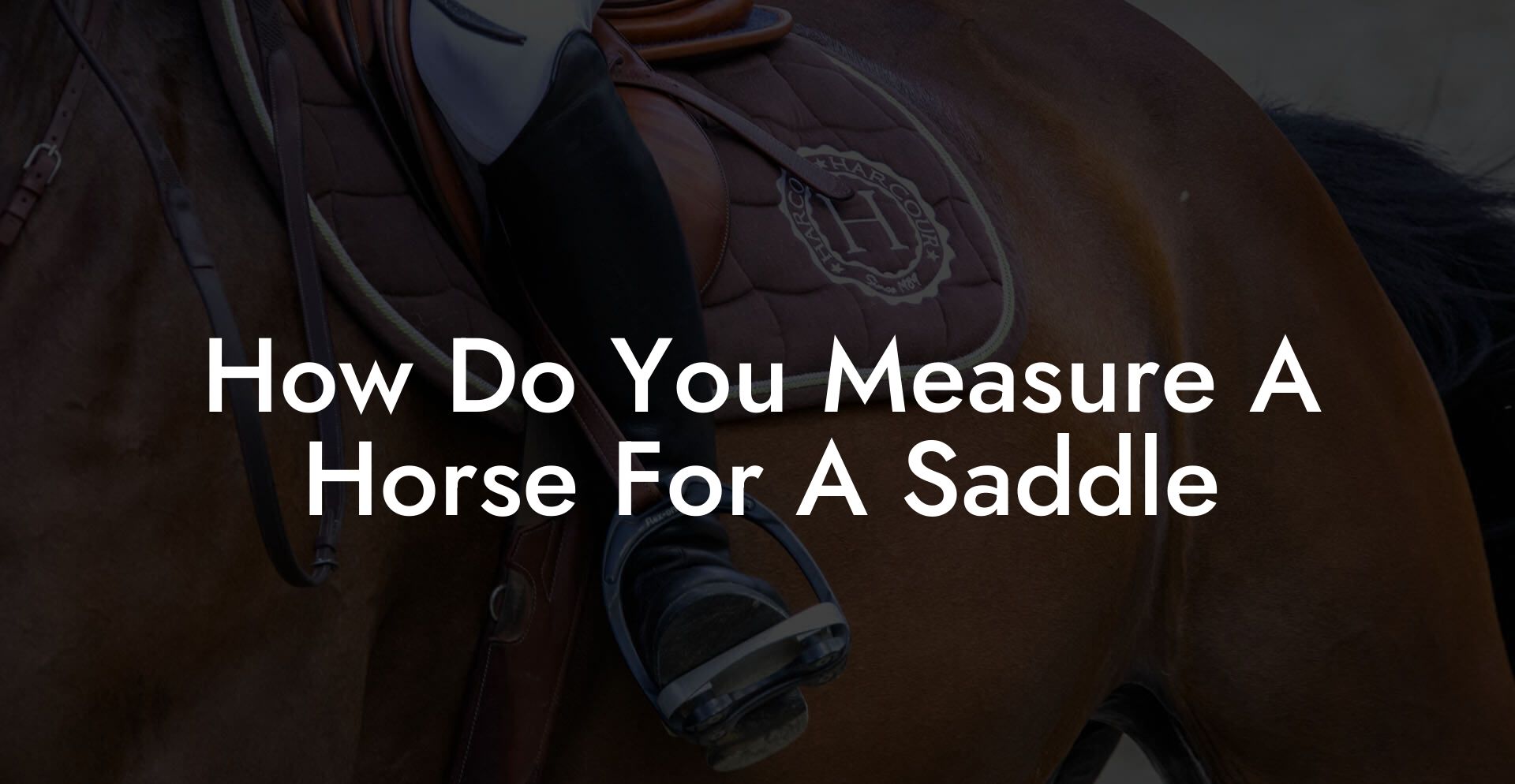 How Do You Measure A Horse For A Saddle