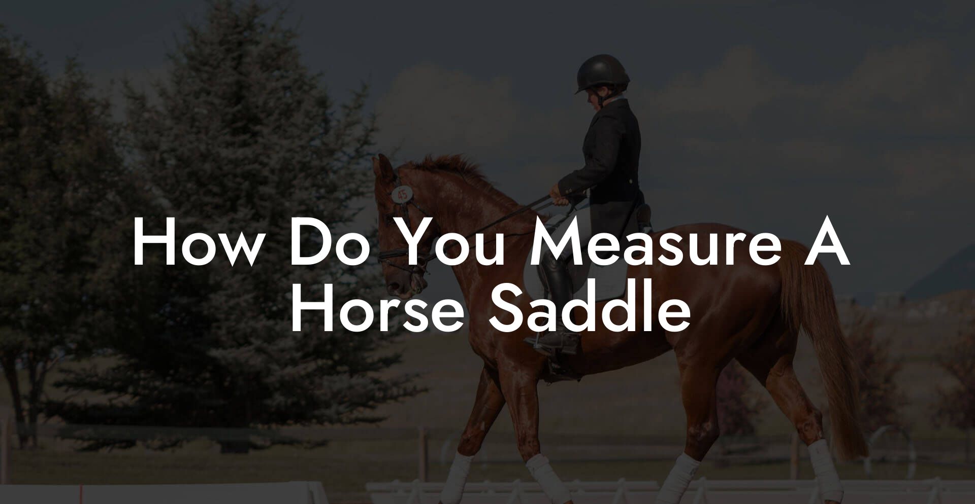 How Do You Measure A Horse Saddle