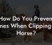 How Do You Prevent Lines When Clipping A Horse?