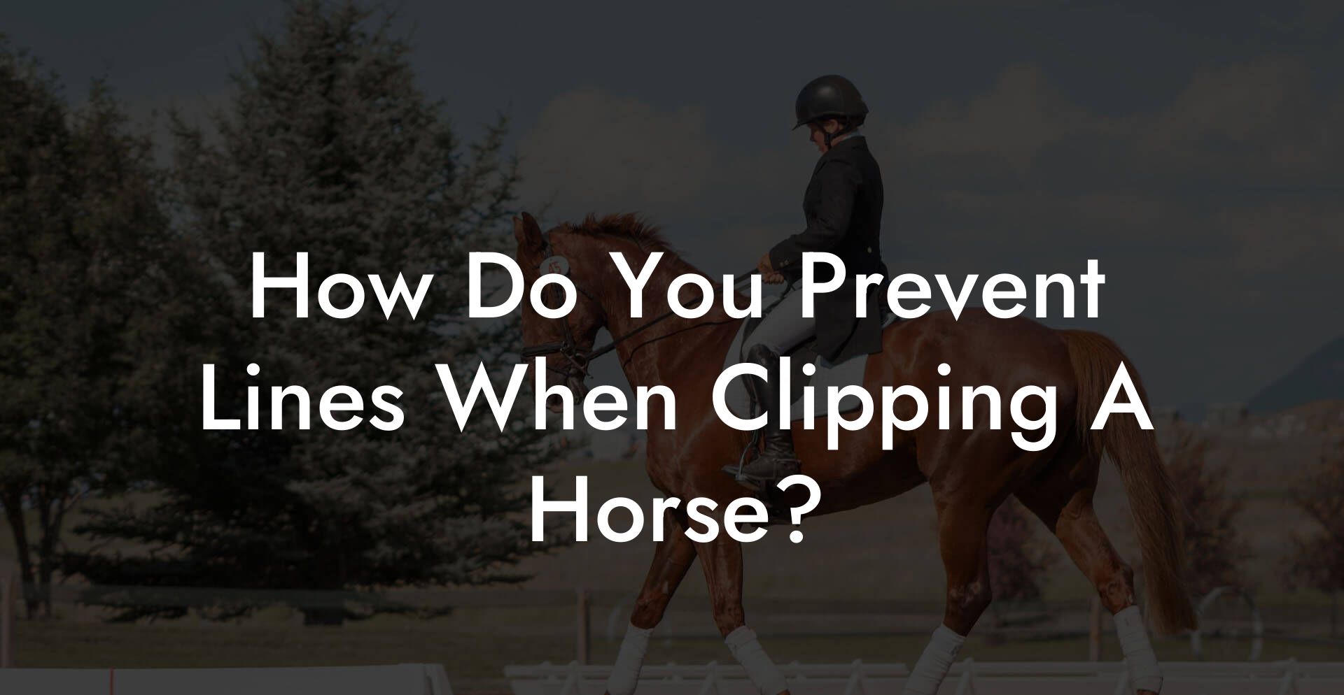 How Do You Prevent Lines When Clipping A Horse?