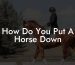 How Do You Put A Horse Down