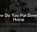 How Do You Put Down A Horse