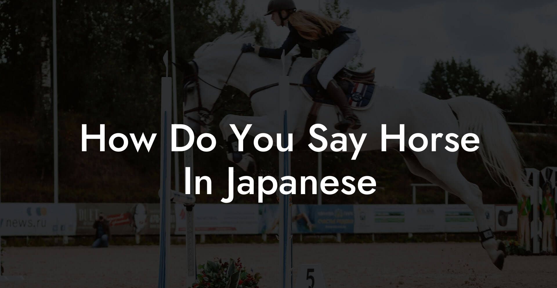 How Do You Say Horse In Japanese