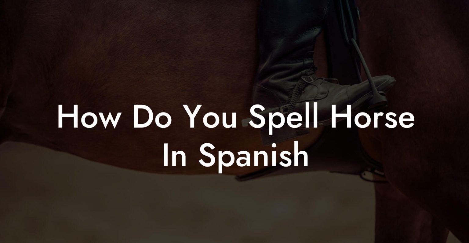 How Do You Spell Horse In Spanish - How To Own a Horse