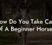 How Do You Take Care Of A Beginner Horse?