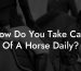 How Do You Take Care Of A Horse Daily?