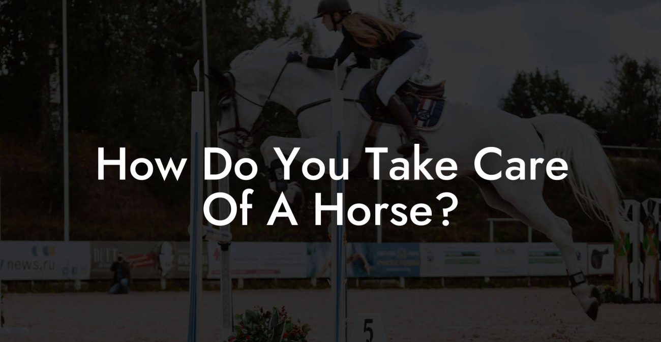 How Do You Take Care Of A Horse