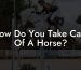 How Do You Take Care Of A Horse
