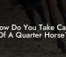 How Do You Take Care Of A Quarter Horse?
