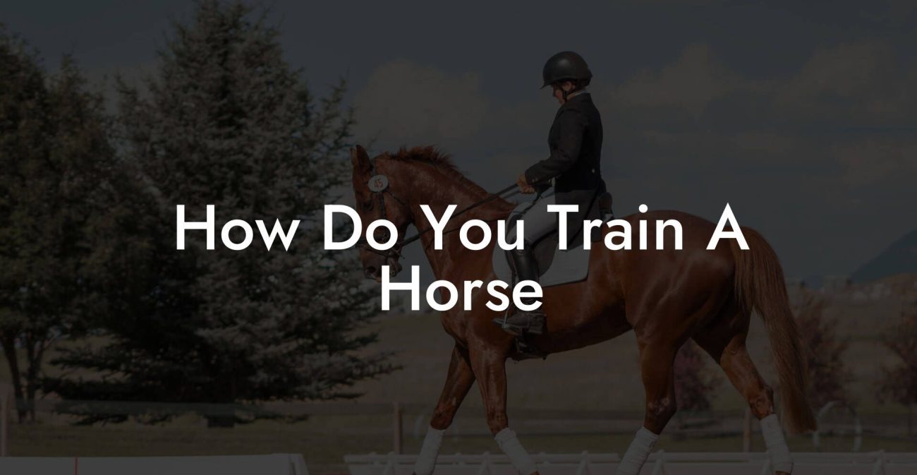 How Do You Train A Horse