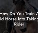 How Do You Train A Wild Horse Into Taking A Rider