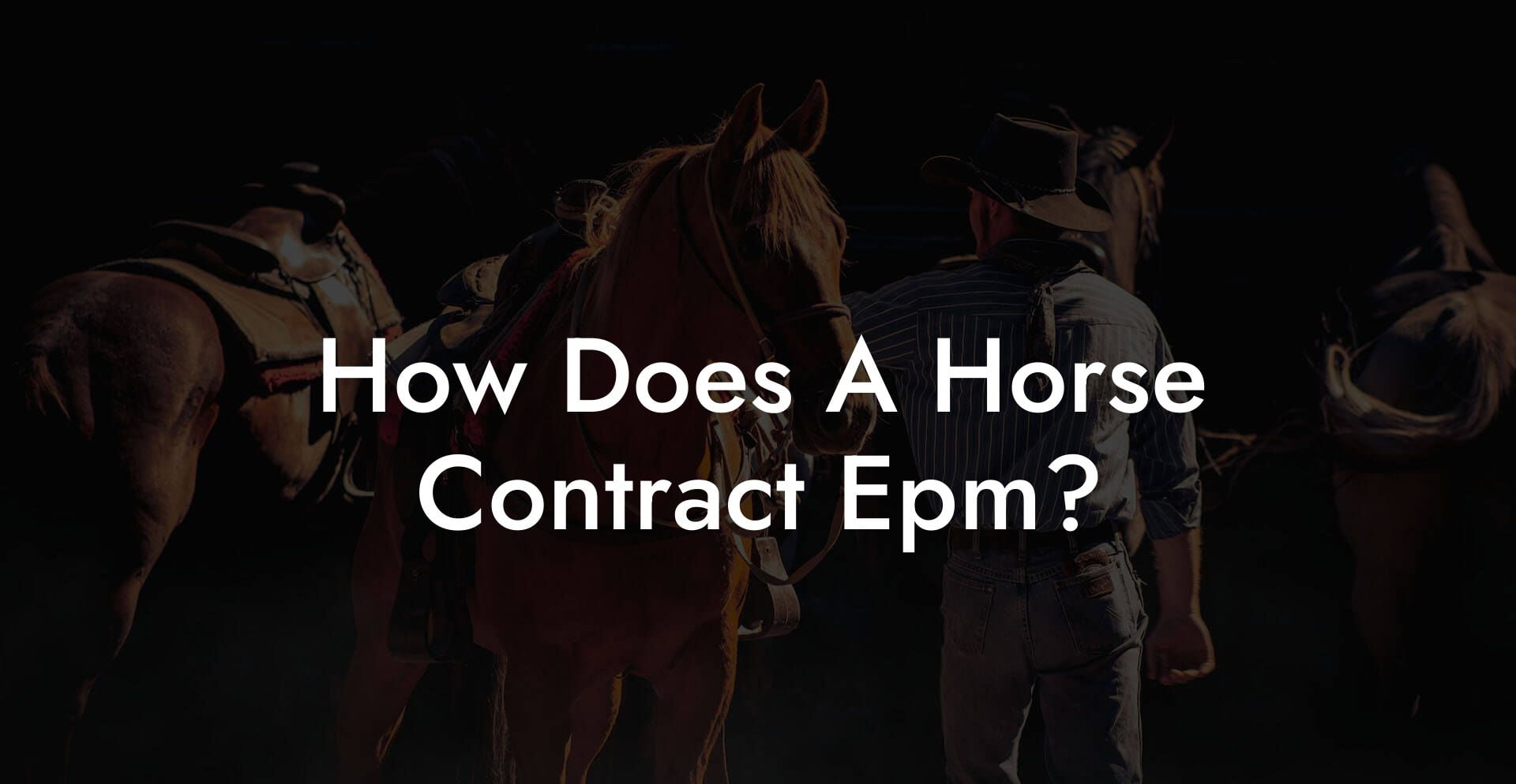 How Does A Horse Contract Epm?