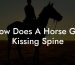 How Does A Horse Get Kissing Spine