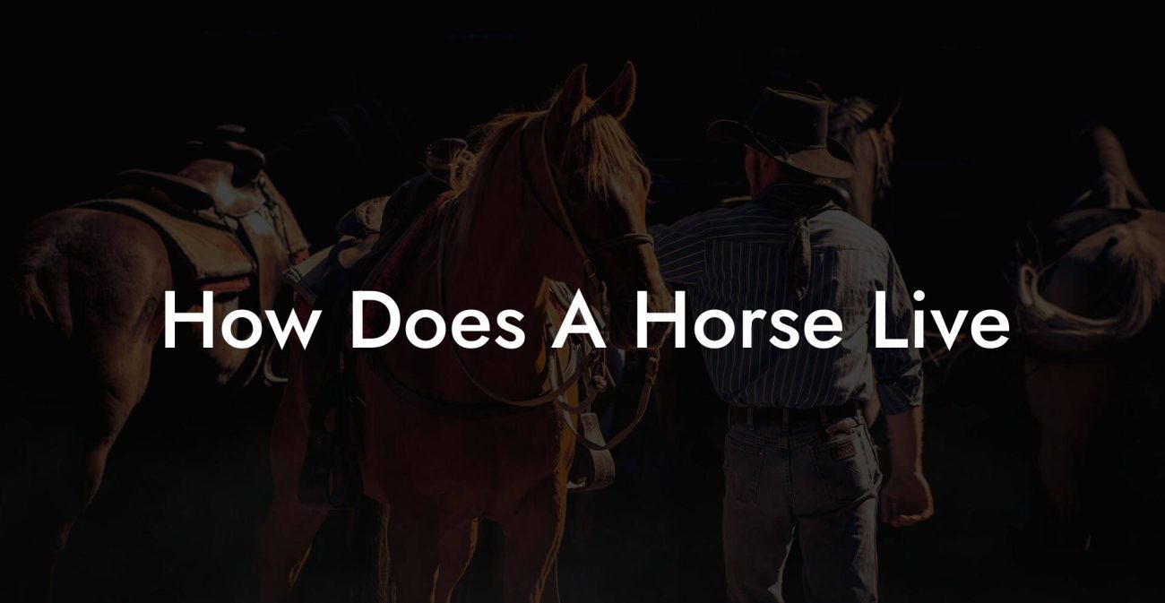 How Does A Horse Live