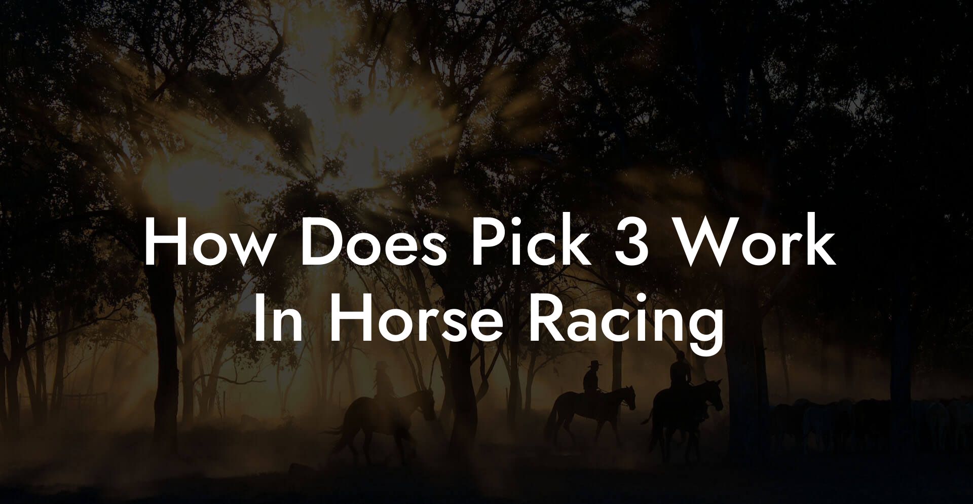  How Does Pick 3 Work In Horse Racing How To Own A Horse