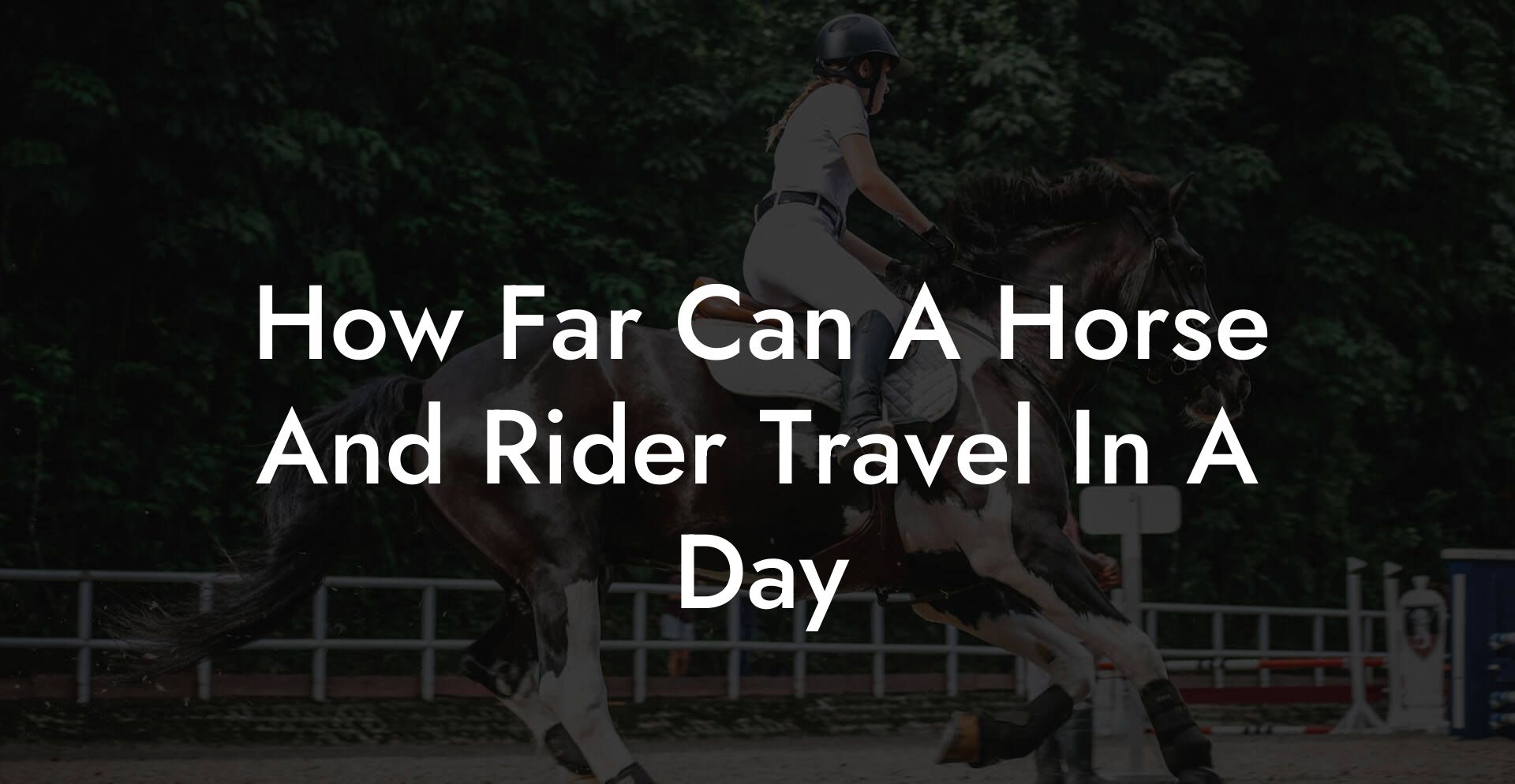 How Far Can A Horse And Rider Travel In A Day