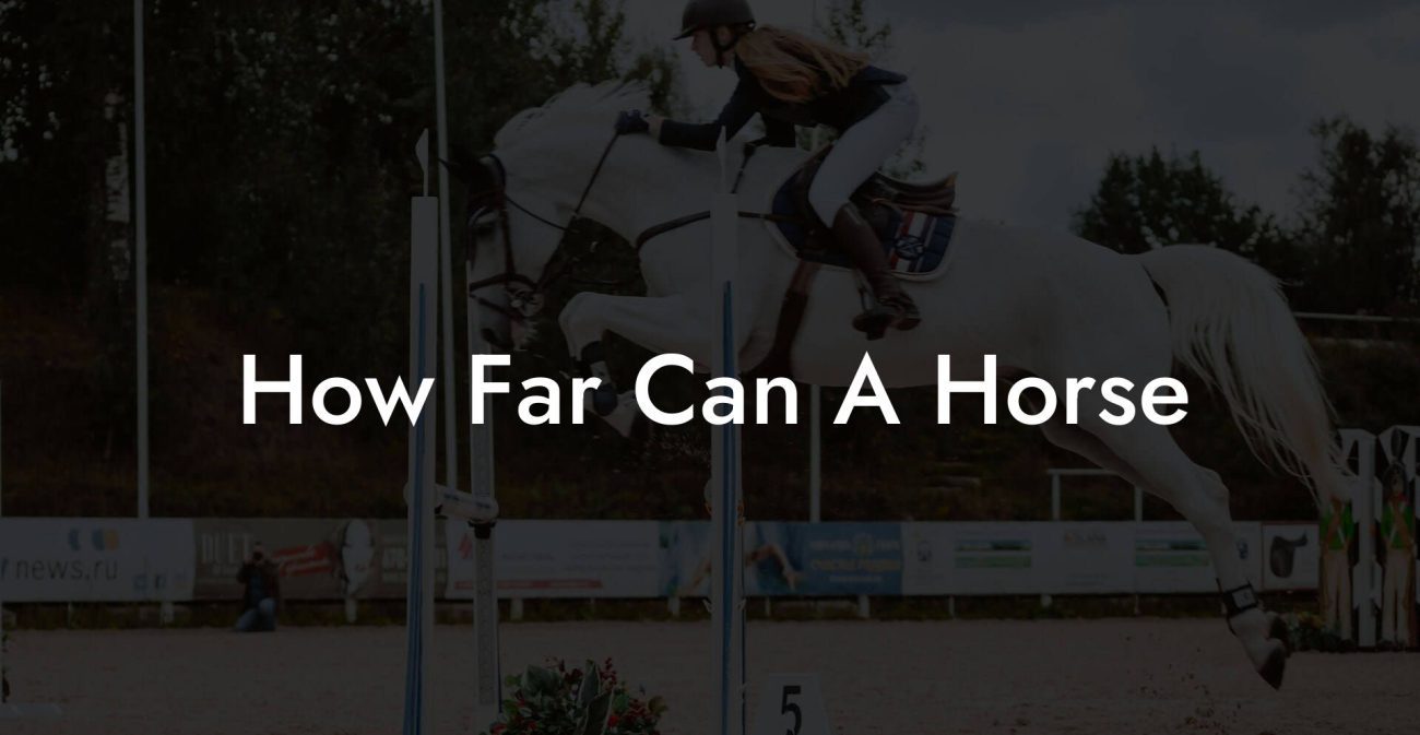 How Far Can A Horse