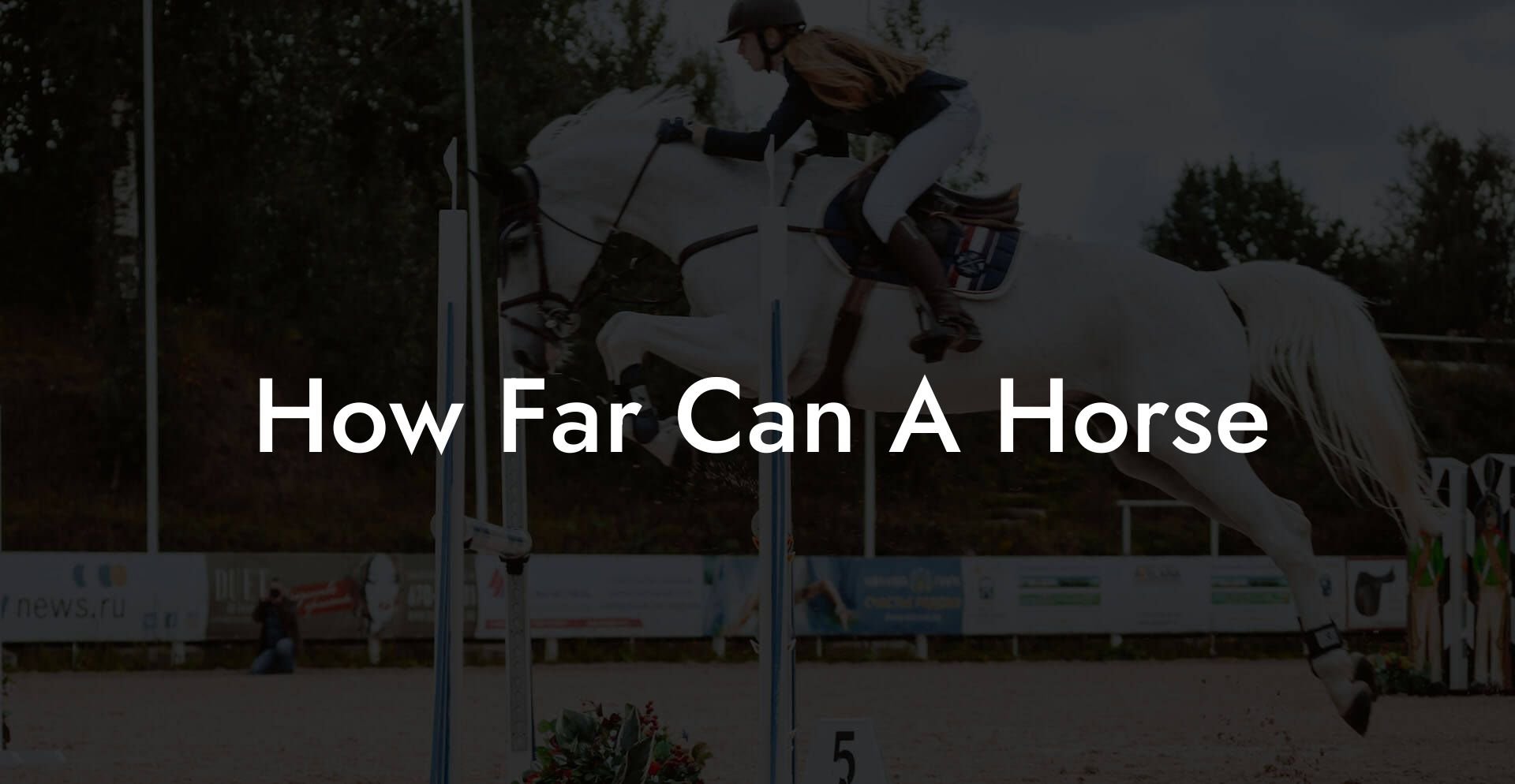 How Far Can A Horse
