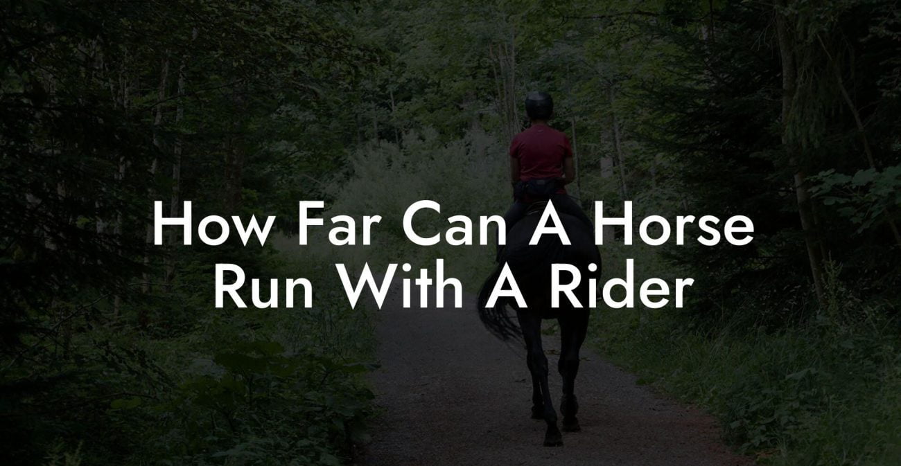 How Far Can A Horse Run With A Rider