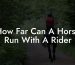 How Far Can A Horse Run With A Rider
