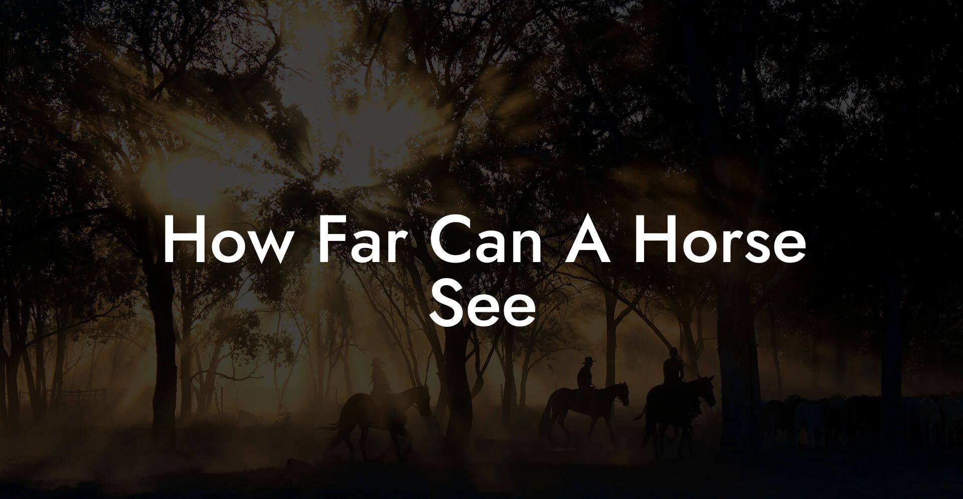 How Far Can A Horse See