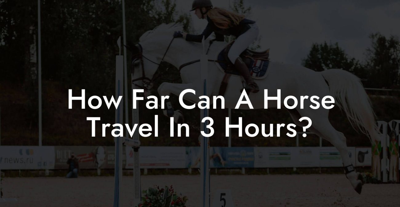 How Far Can A Horse Travel In 3 Hours?