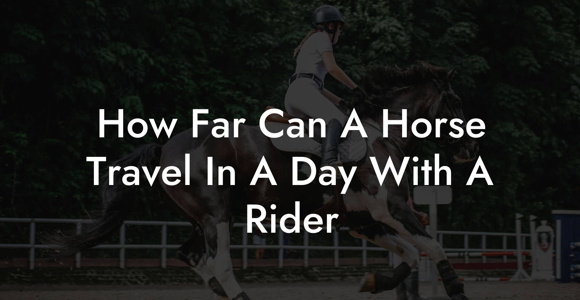 How Far Can A Horse Travel In A Day With A Rider