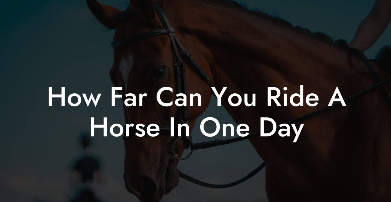 How Far Can You Ride A Horse In One Day