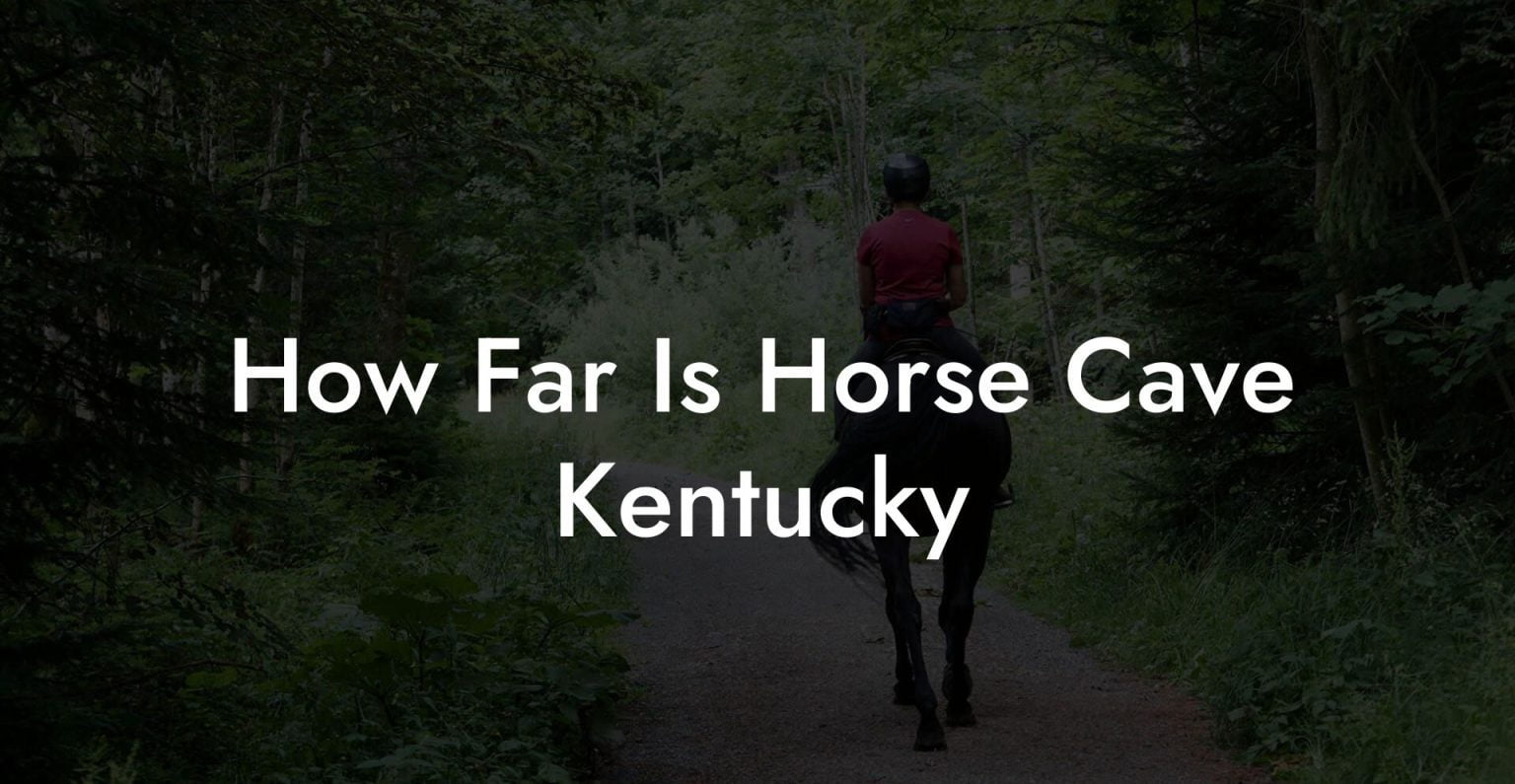How Far Is Horse Cave Kentucky How To Own a Horse