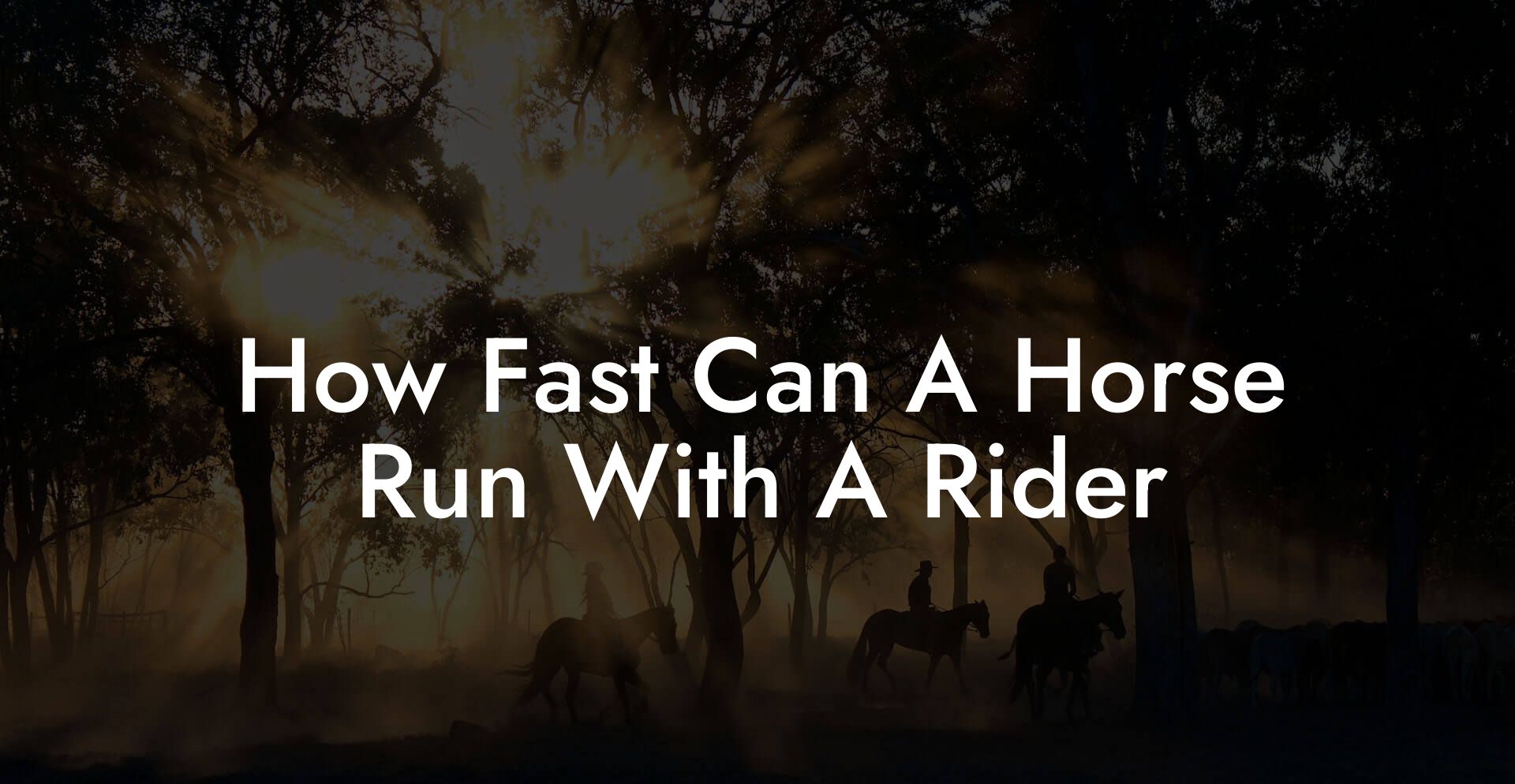 How Fast Can A Horse Run With A Rider