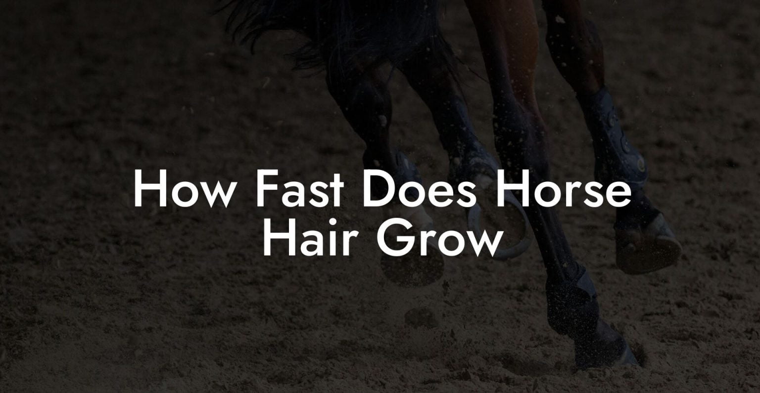 How Fast Does Horse Hair Grow How To Own a Horse
