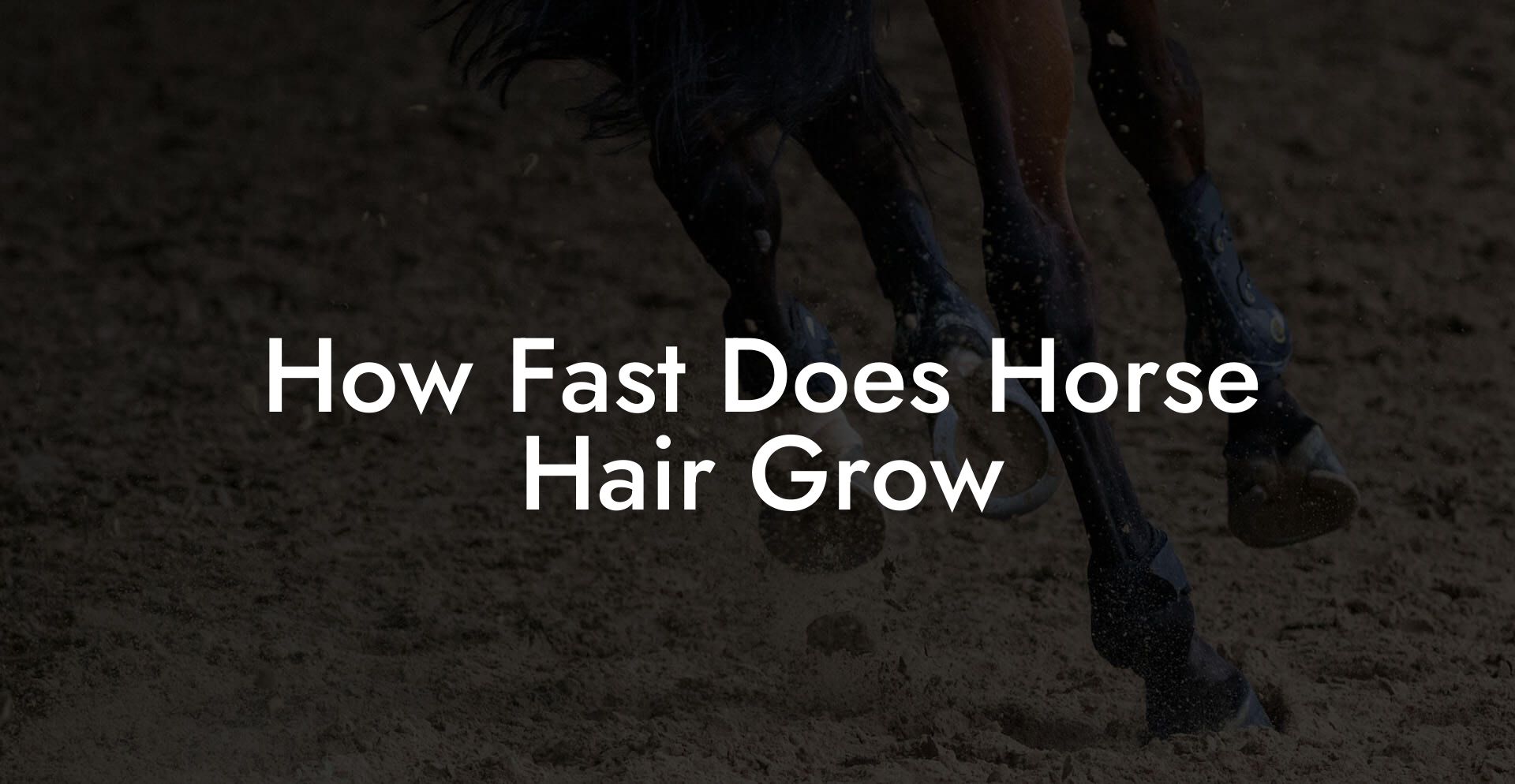How Fast Does Horse Hair Grow