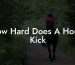 How Hard Does A Horse Kick