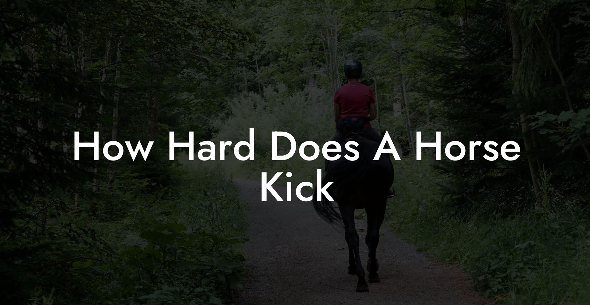 How Hard Does A Horse Kick