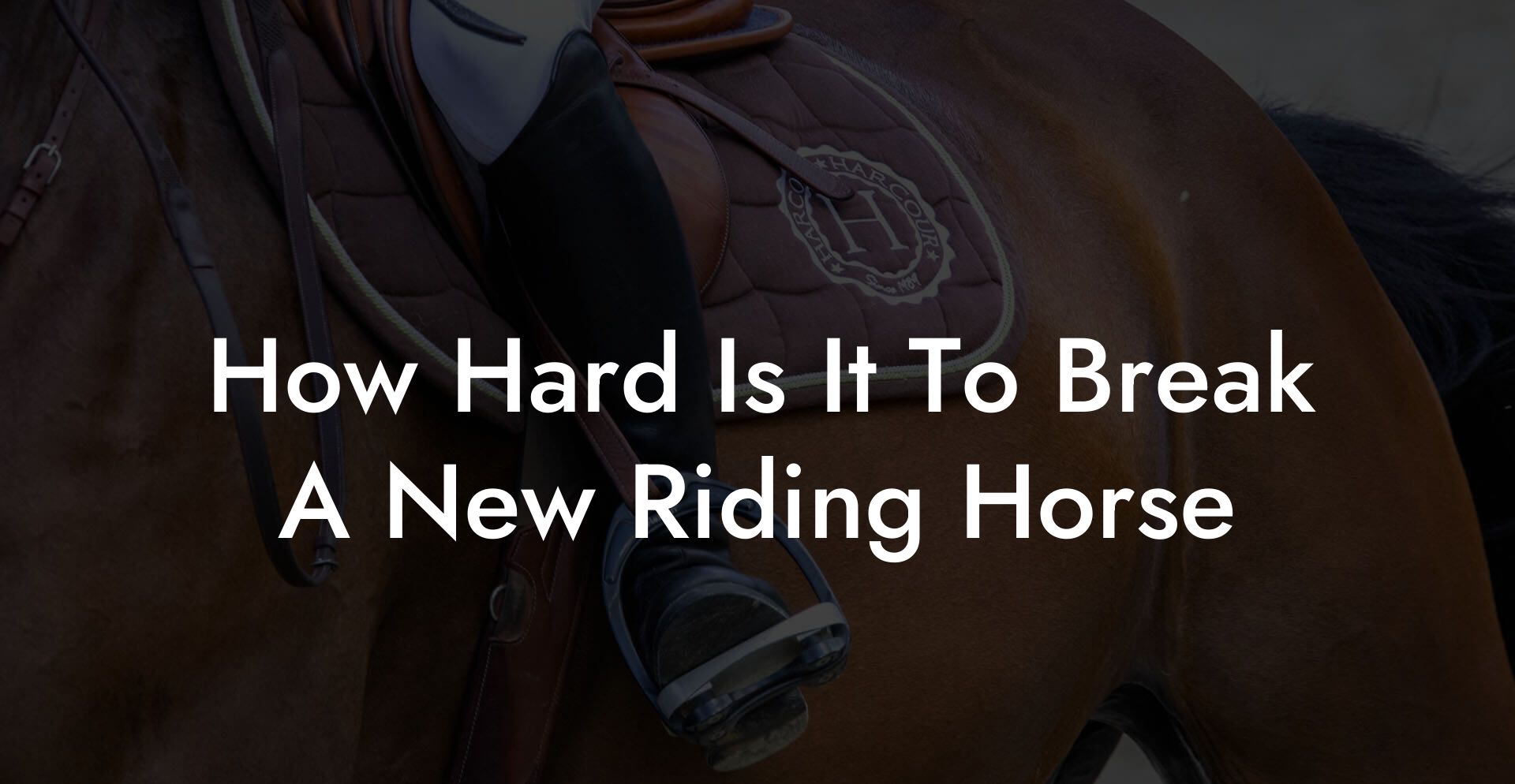 How Hard Is It To Break A New Riding Horse