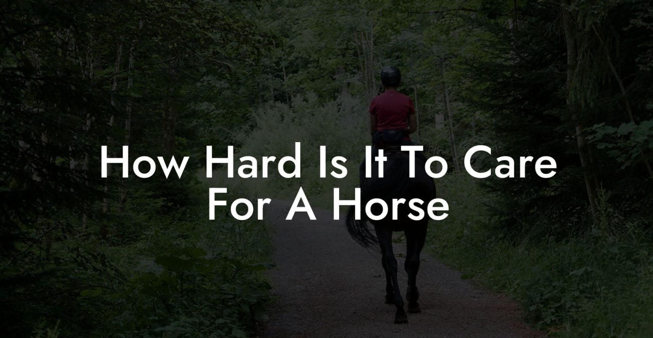 How Hard Is It To Care For A Horse