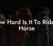 How Hard Is It To Ride A Horse