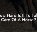 How Hard Is It To Take Care Of A Horse?