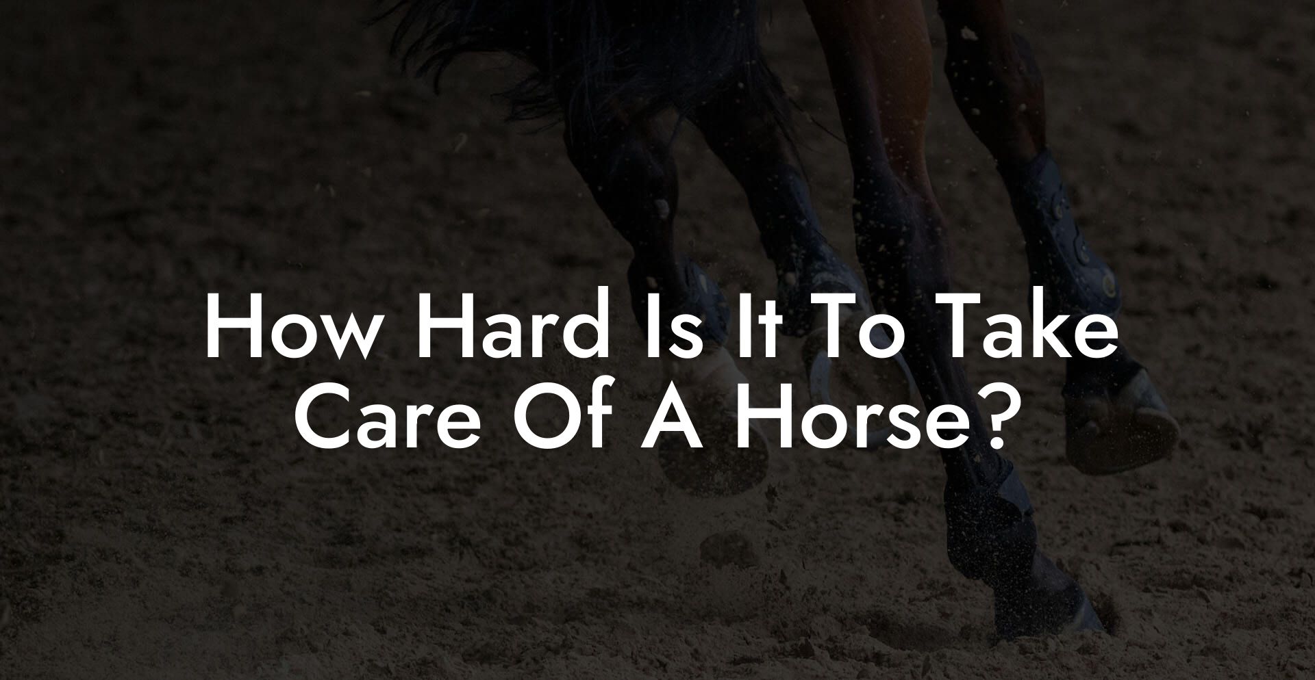 How Hard Is It To Take Care Of A Horse?