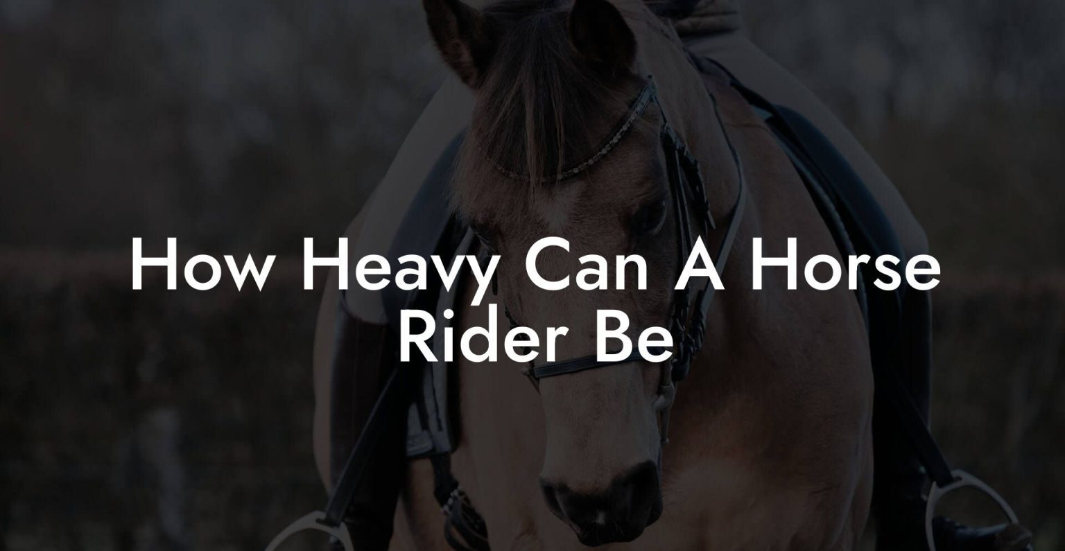 What Is Gelding A Horse Mean What Is Gelding A Horse Mean