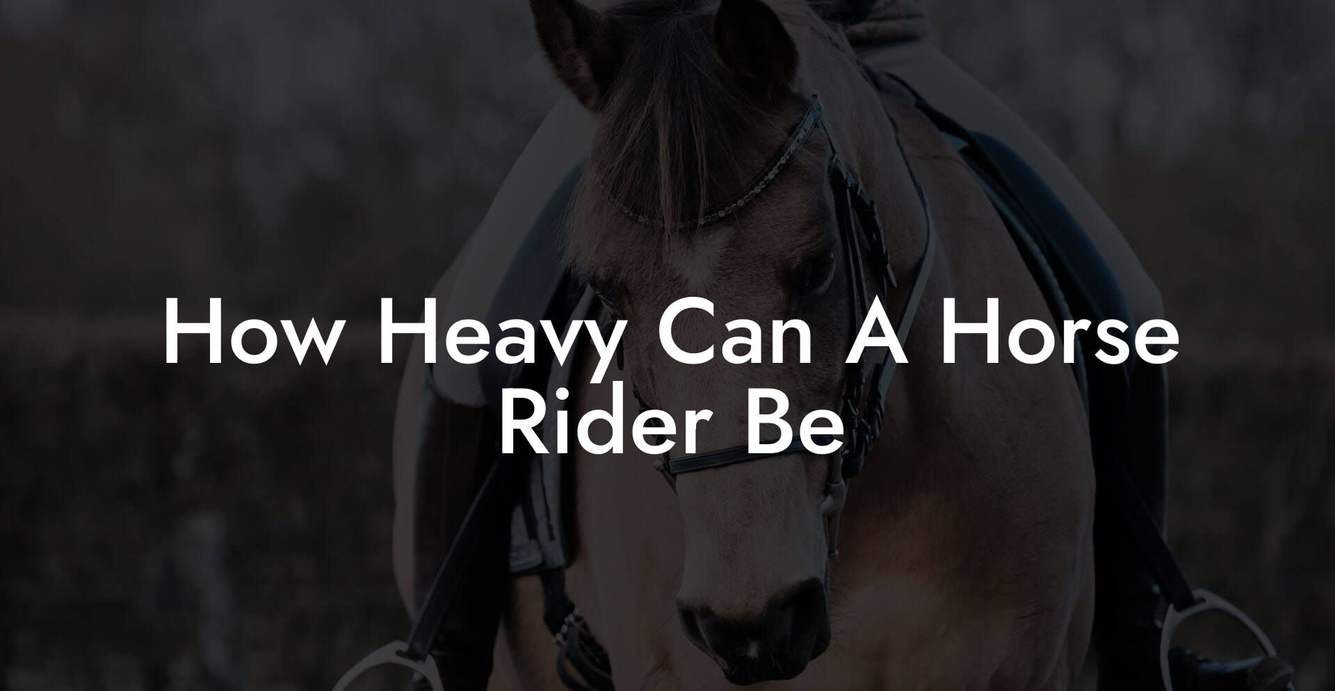 How Heavy Can A Horse Rider Be