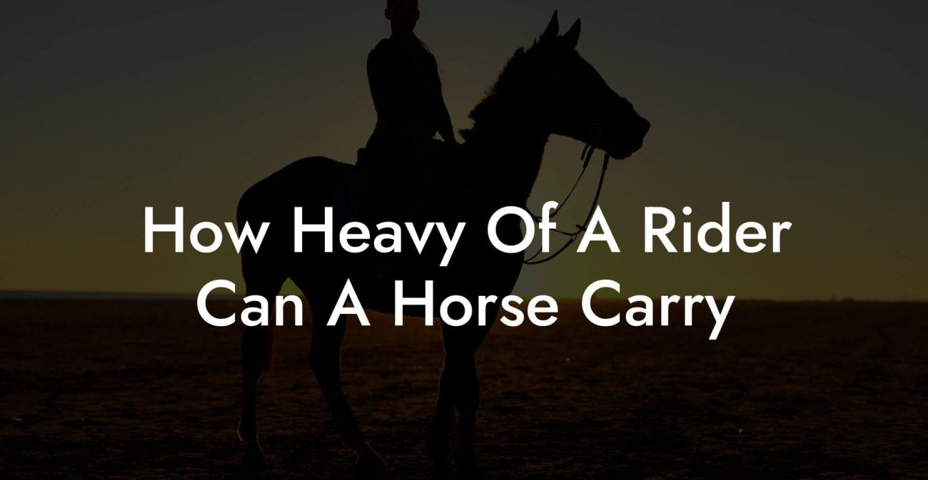 How Heavy Of A Rider Can A Horse Carry