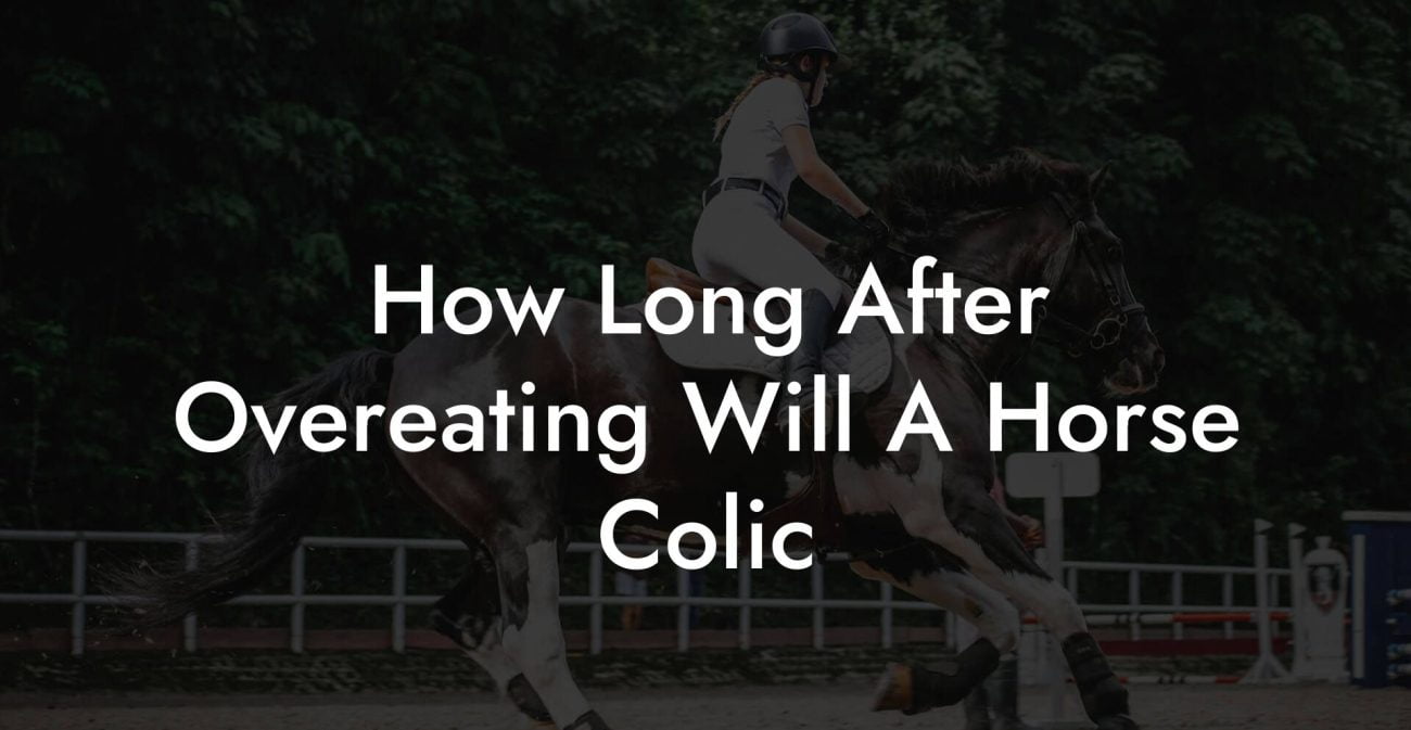 How Long After Overeating Will A Horse Colic