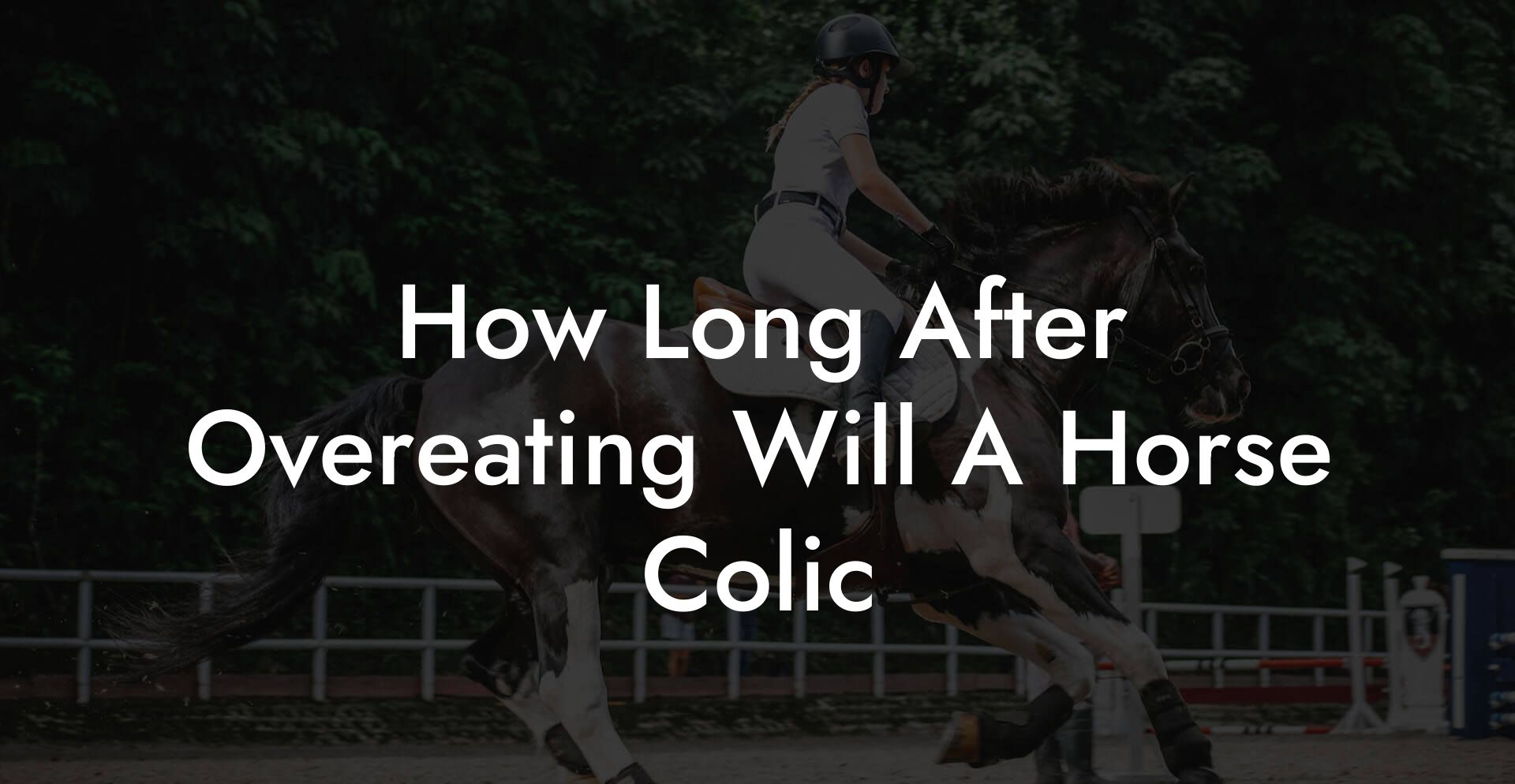 How Long After Overeating Will A Horse Colic